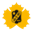 Skellefteå AIK Logo